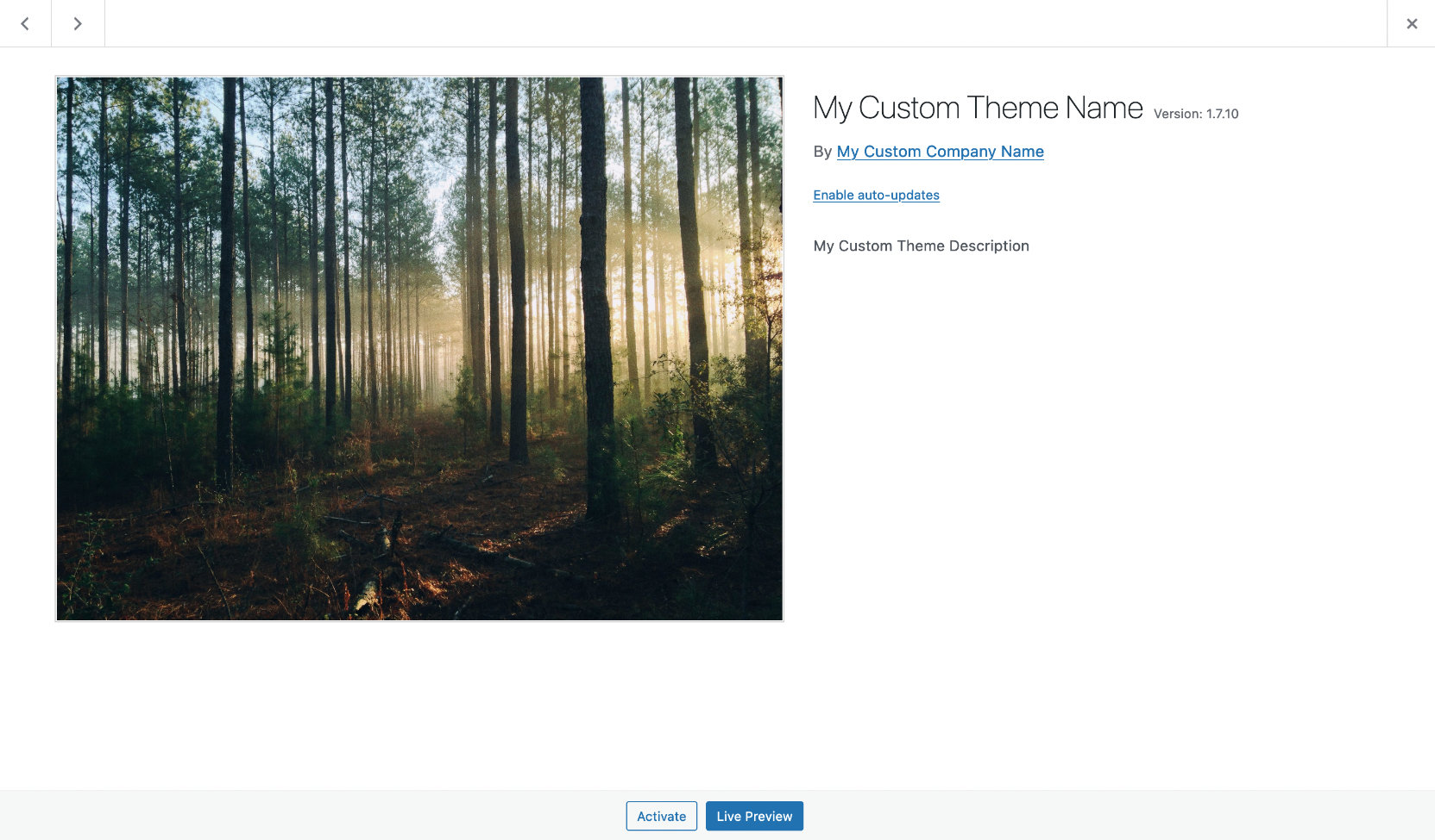 WordPress Theme Details using custom branding